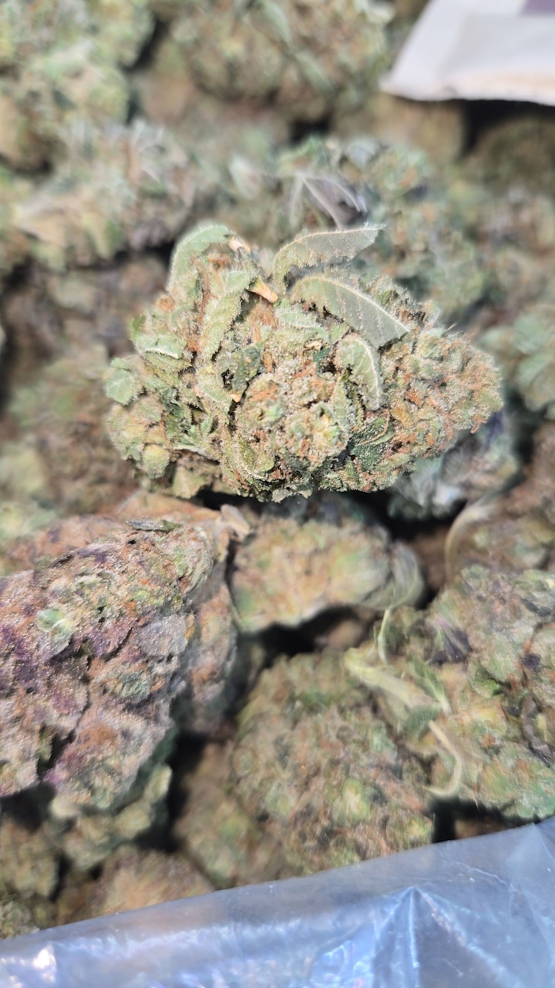 Rainbow Gelatto THCa Indica Dominant 8th 3.5gs